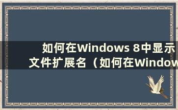 如何在Windows 8中显示文件扩展名（如何在Windows 8.1中显示文件后缀）